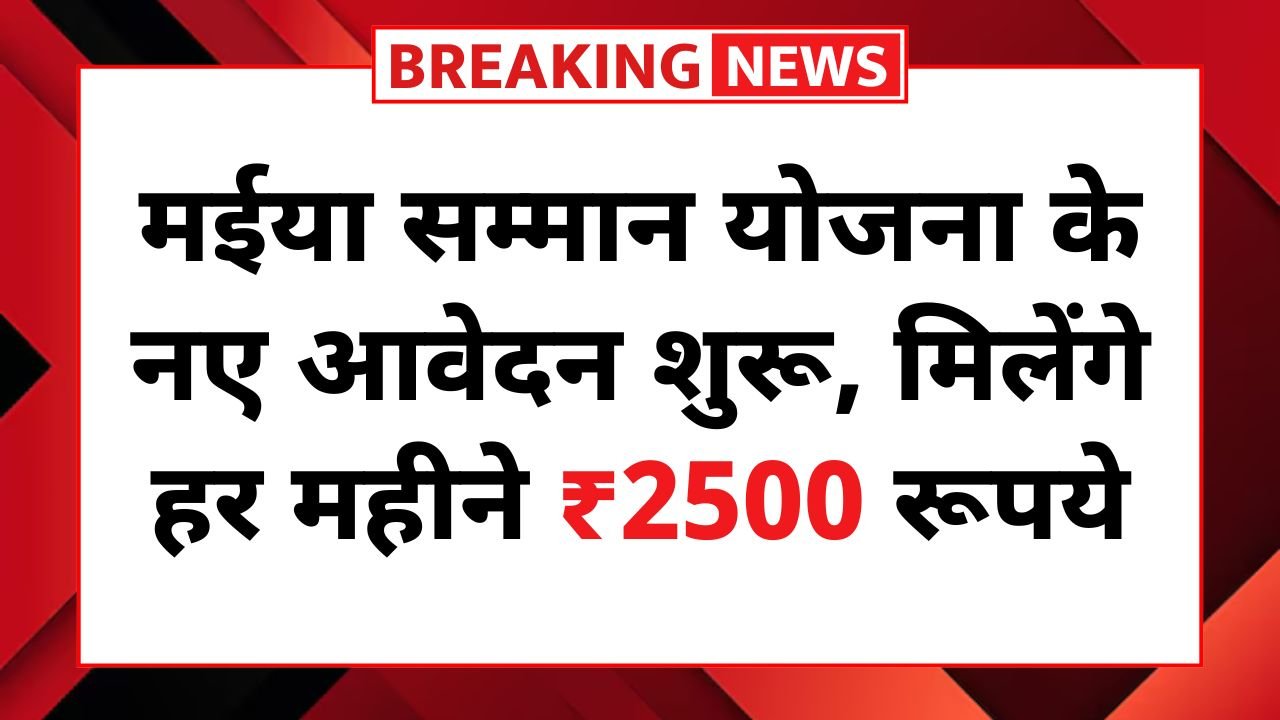 Maiya Samman Yojana Form